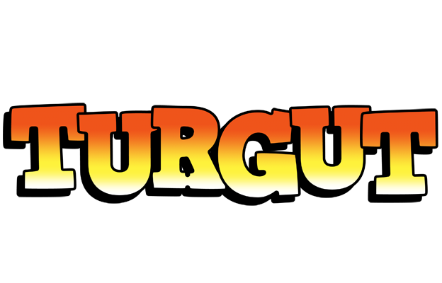 Turgut sunset logo