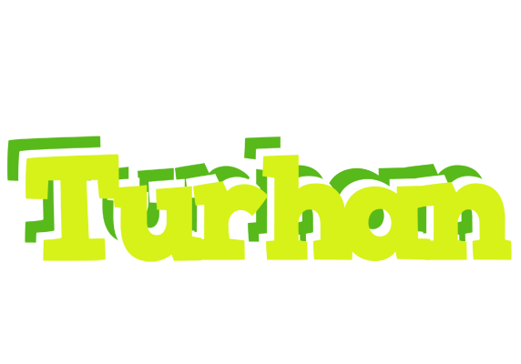 Turhan citrus logo