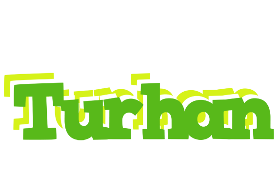 Turhan picnic logo