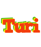 Turi bbq logo