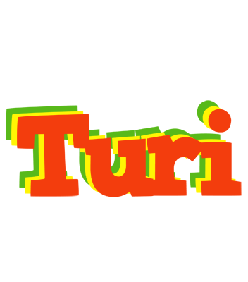 Turi bbq logo