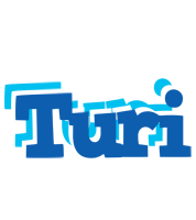 Turi business logo