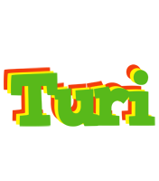 Turi crocodile logo