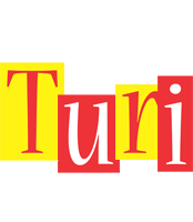 Turi errors logo