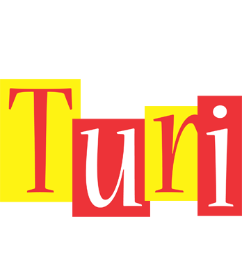 Turi errors logo