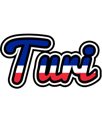 Turi france logo