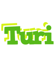 Turi picnic logo