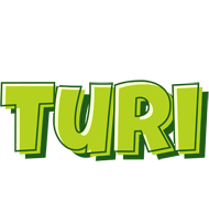 Turi summer logo