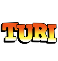 Turi sunset logo