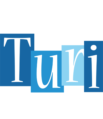 Turi winter logo