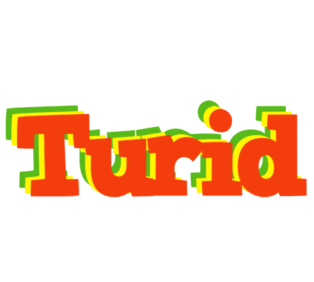 Turid bbq logo