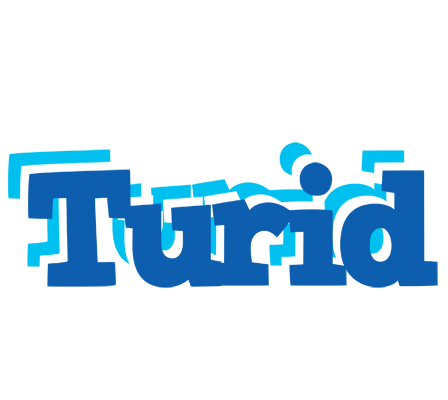 Turid business logo