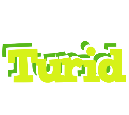 Turid citrus logo
