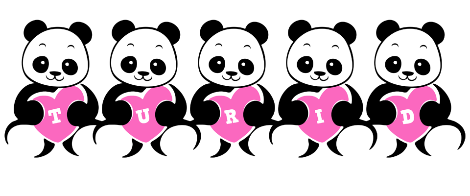 Turid love-panda logo