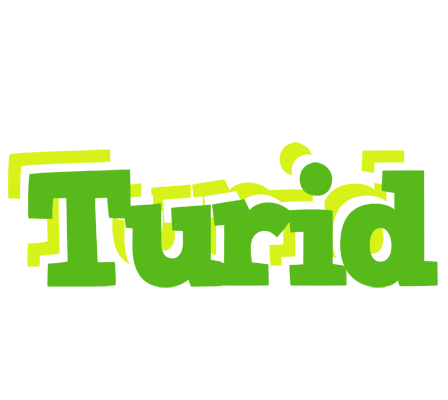 Turid picnic logo