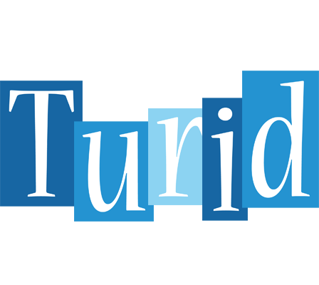 Turid winter logo