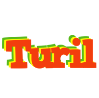 Turil bbq logo