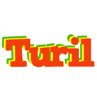 Turil bbq logo