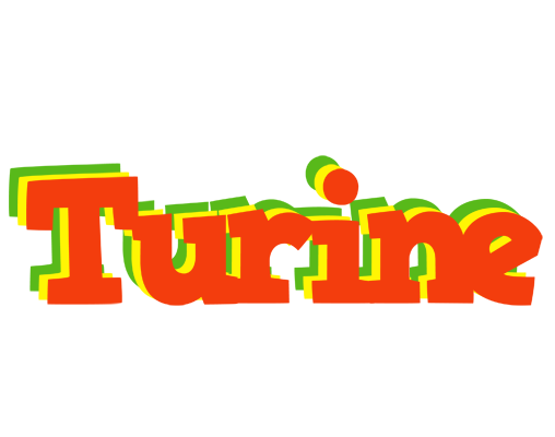 Turine bbq logo