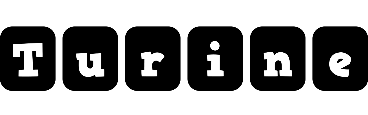 Turine box logo