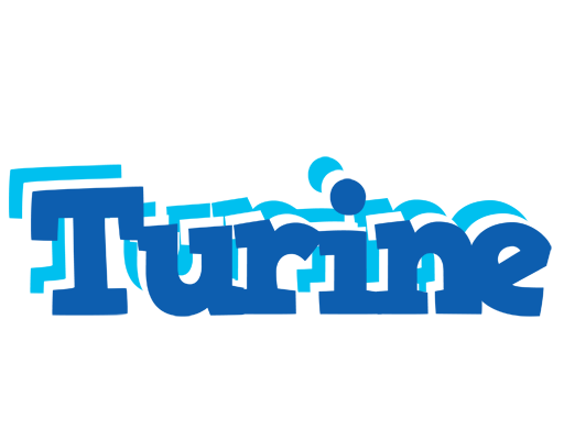 Turine business logo