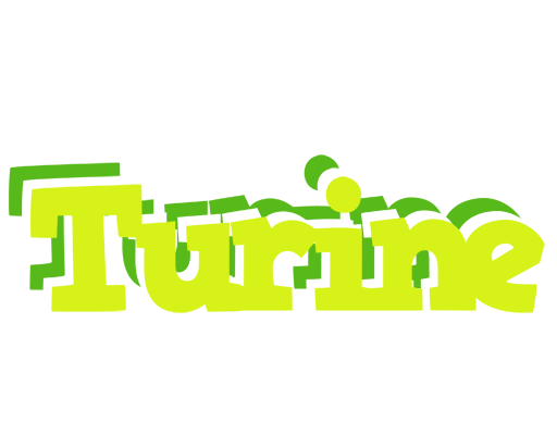 Turine citrus logo