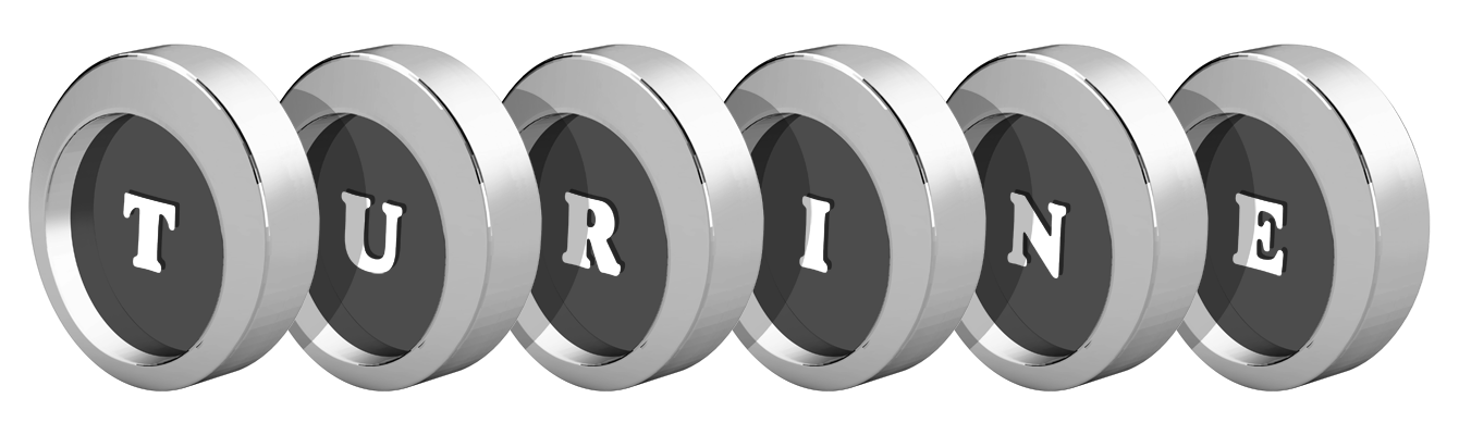 Turine coins logo