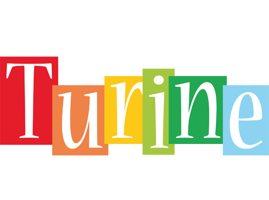 Turine colors logo