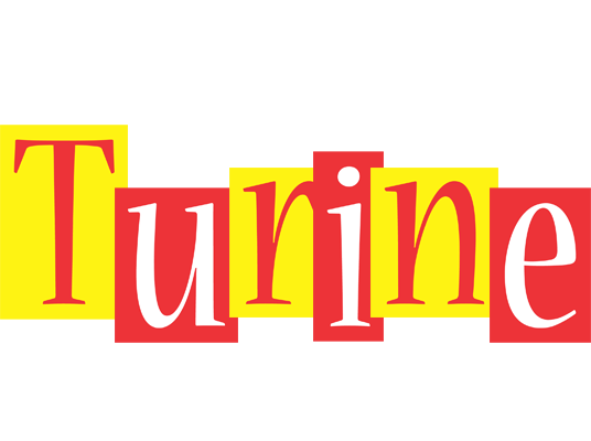 Turine errors logo