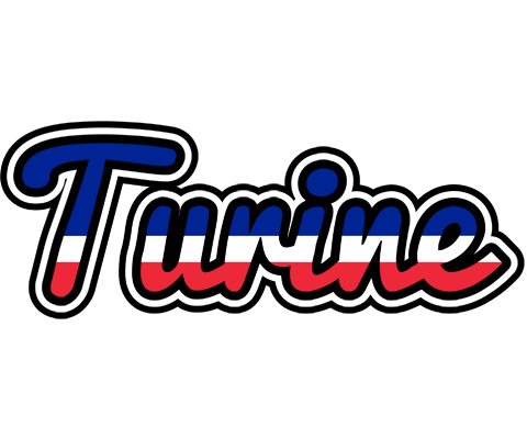 Turine france logo