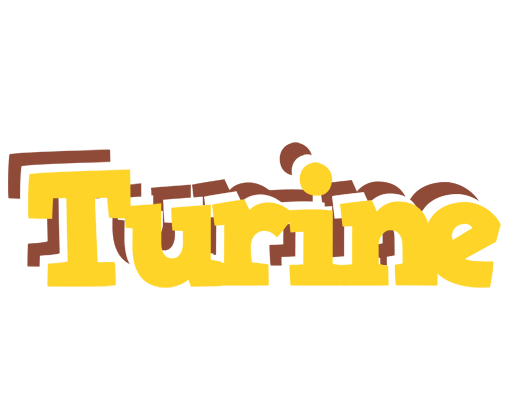 Turine hotcup logo