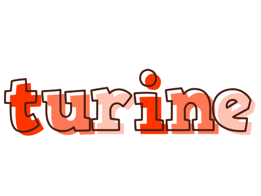 Turine paint logo