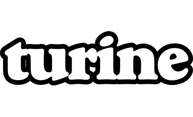 Turine panda logo
