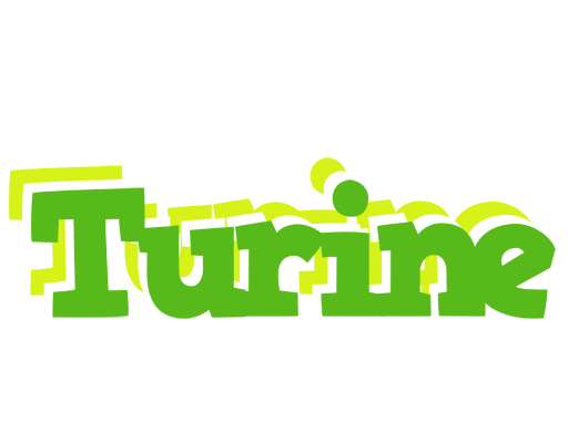 Turine picnic logo