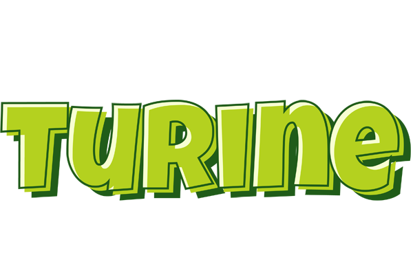 Turine summer logo