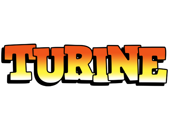 Turine sunset logo
