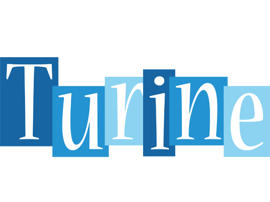 Turine winter logo