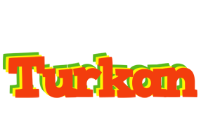 Turkan bbq logo