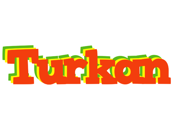 Turkan bbq logo