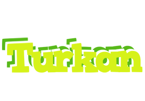 Turkan citrus logo