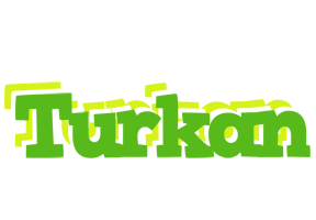 Turkan picnic logo