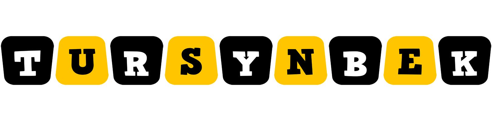 Tursynbek boots logo