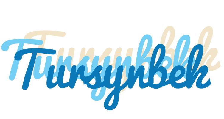 Tursynbek breeze logo