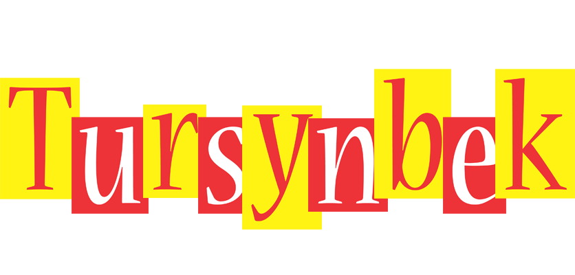 Tursynbek errors logo