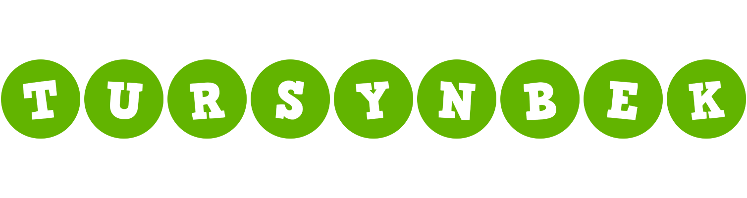 Tursynbek games logo
