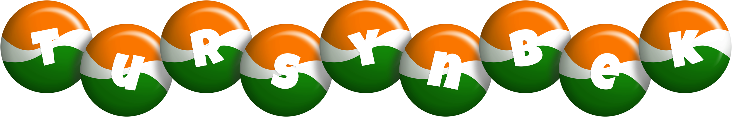 Tursynbek india logo
