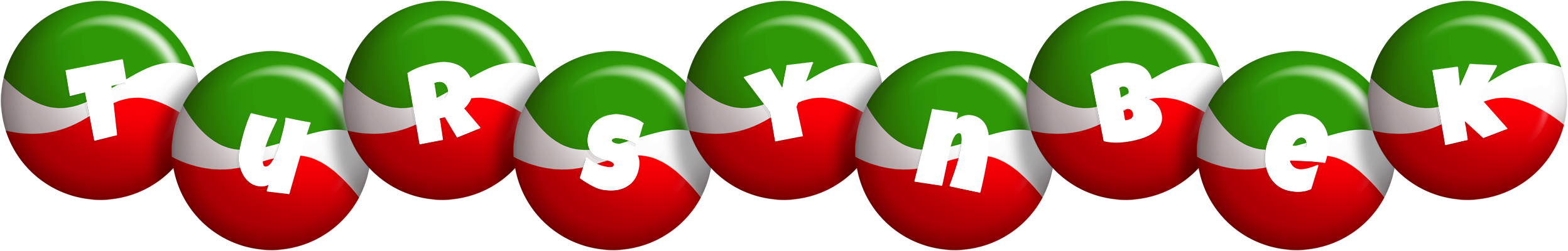 Tursynbek italy logo