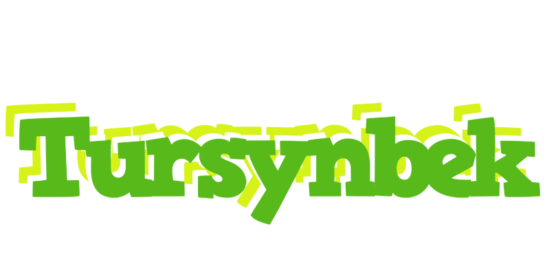 Tursynbek picnic logo