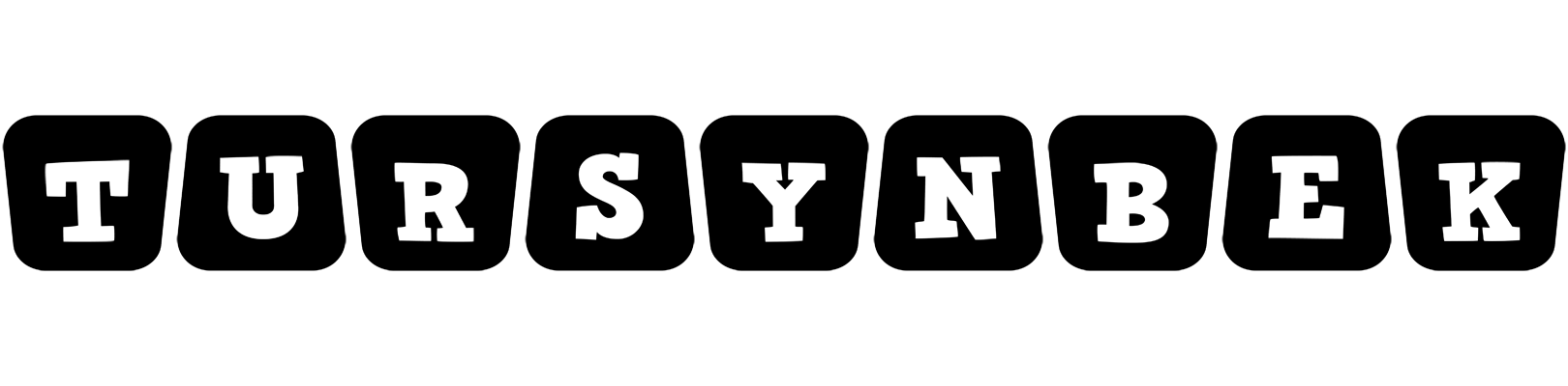 Tursynbek racing logo