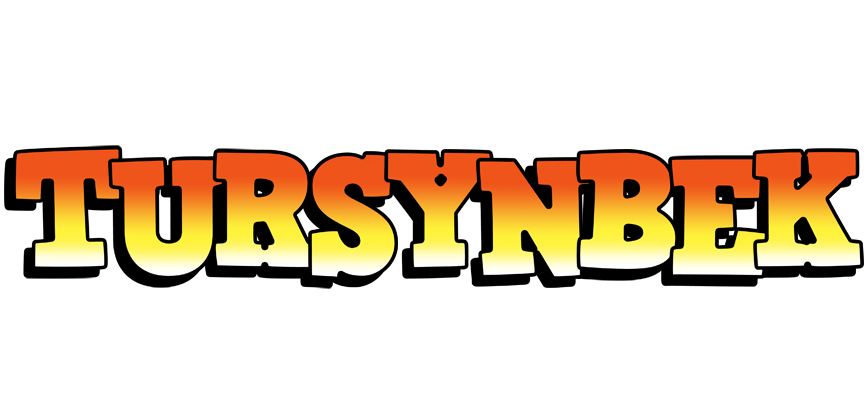 Tursynbek sunset logo